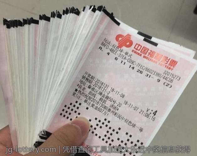 凭借查询工具加速大乐透中奖信息获得